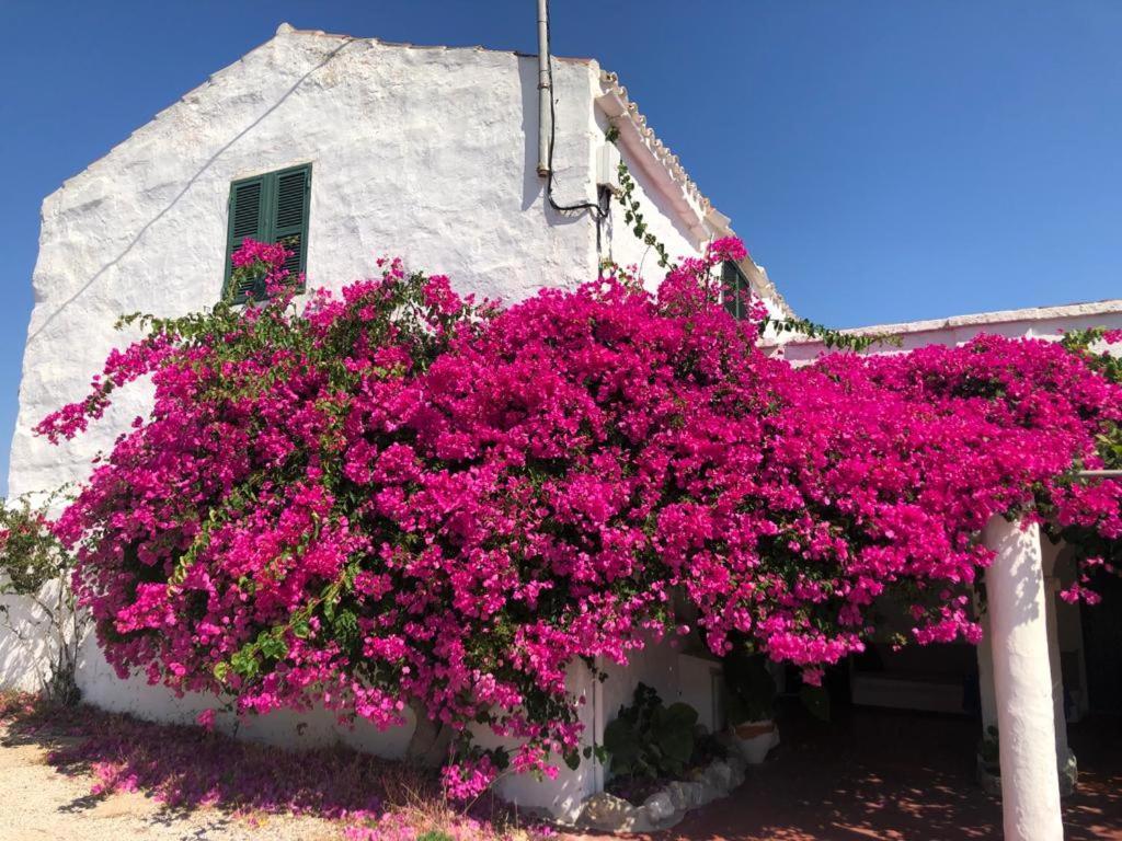 Agroturisme Binisaid Nou Cala Galdana  Esterno foto